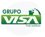logo grupo visa