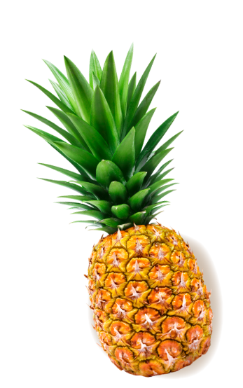 piña