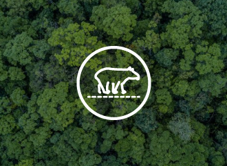 rutas de conectividad